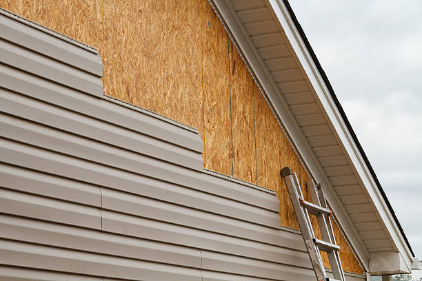 Professional Wood Siding technician working in Paris, KY